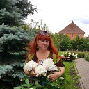 ���� �������, ������, 66 ��� - ��������� 15 �������� 2017 � ������ ���� ����������