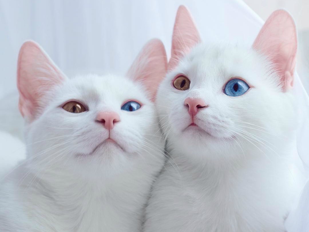   :3 - 3