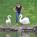 ���� �����, �������, 57 ��� - ��������� 24 ������� 2017 � ������ ���� ����������