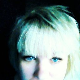 ����, ������ ��������, 41 ���