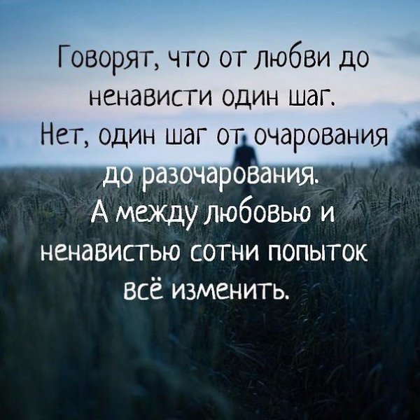   -  ,  -  - 19  2017  22:33