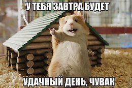 Comedy Club - 31  2017  20:40