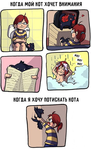 15 ,      - 3