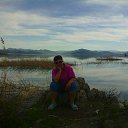 ���� ����, ����-�����������, 70 ��� - ��������� 11 ��� 2017 � ������ ���� ����������