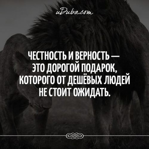 Обычно удар в спину получаешь от того,кого закрываешь грудью... - 5