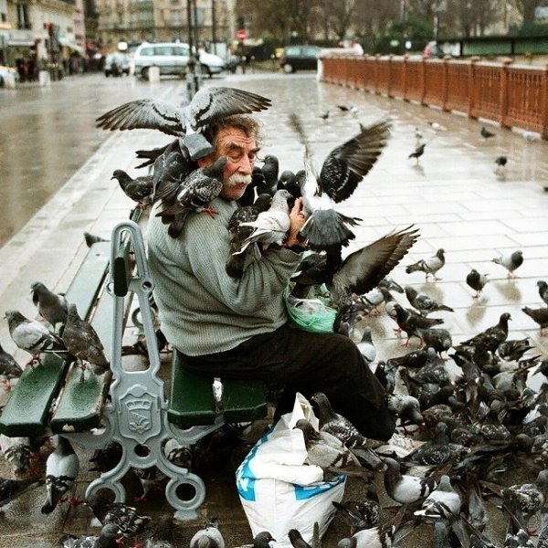 Подборка фотографий