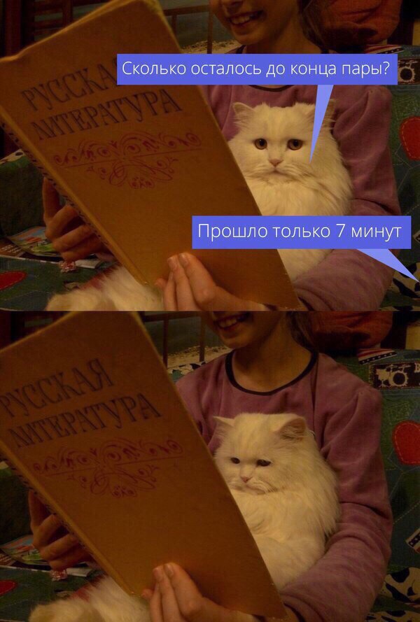       - 10  2017  18:16