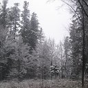 ���� �, ���� - ��������� 21 ���� 2017