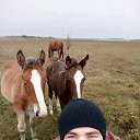 ���� ��������, ������-��-����, 39 ��� - ��������� 9 ������ 2017 � ������ ���� ����������