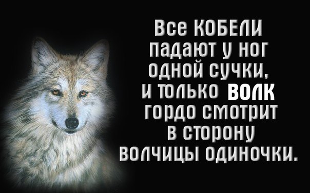  - 16  2017  11:28