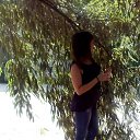 ���� ����, ������, 40 ��� - ��������� 6 �������� 2017