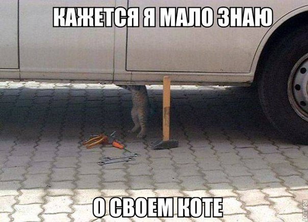 - 9  2017  20:57