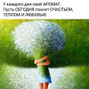 ���� �����, ������, 63 ���� - ��������� 29 �������� 2017 � ������ ������ ��������