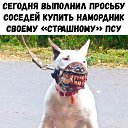 ���� �������, ������ - ��������� 15 ������� 2017 � ������ ������ ��������