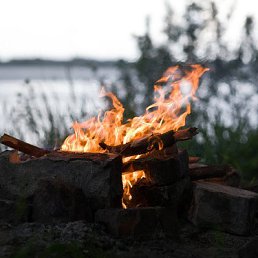 ���� ������, ����������� - ��������� 11 ���� 2017