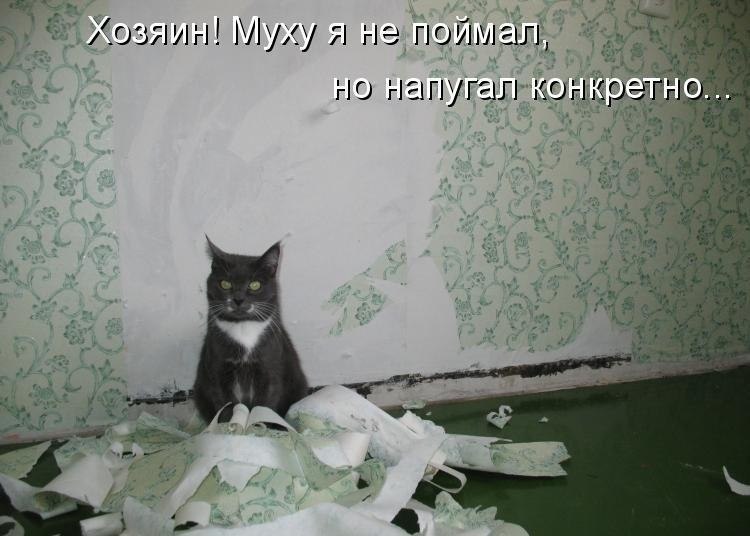       - 10  2017  19:12