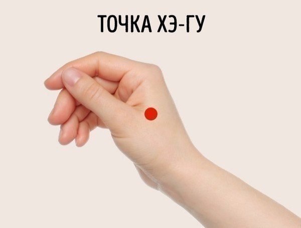        5 .     ,   ... - 6