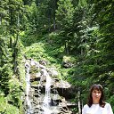 ���� ����������, ������-��-����, 41 ��� - ��������� 15 ���� 2017 � ������ ������ ��������