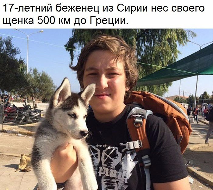   - 5  2017  08:39