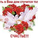 ���� �����, ���, 65 ��� - ��������� 26 ��� 2017 � ������ ���� ����������