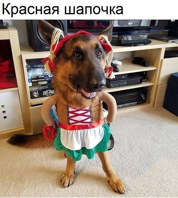       ,   ....))) - 4