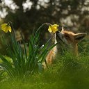 ���� �����, ������, 50 ��� - ��������� 24 ������ 2017 � ������ ������ ��������