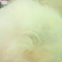 ���� ������, �������, 61 ��� - ��������� 2 ��� 2017 � ������ ������ ��������