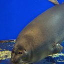 ���� ����, �������, 42 ���� - ��������� 28 ���� 2017 � ������ ������ ��������