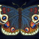 ���� �����, ����������� - ��������� 12 ������� 2017 � ������ ����������