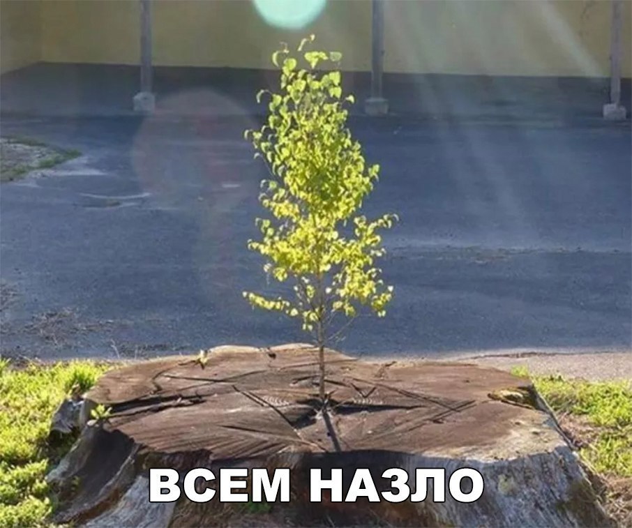      - 15  2017  07:21