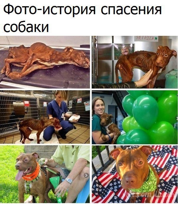  - 28  2017  03:47