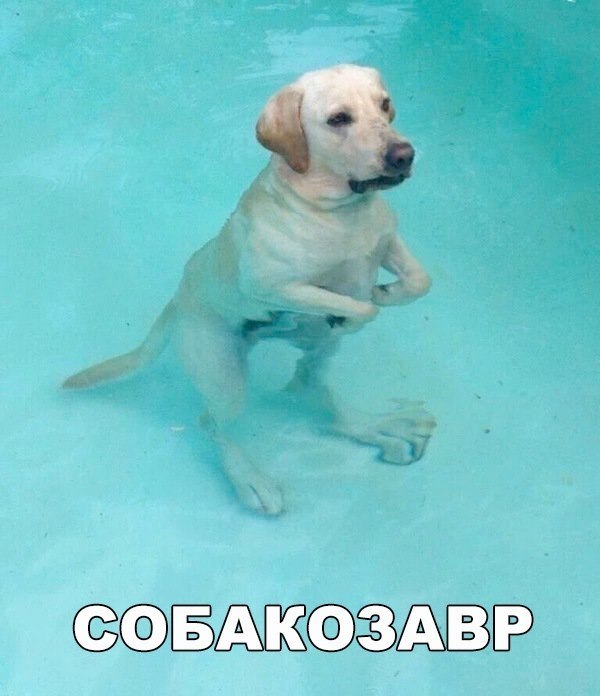   :D - 8  2017  01:31