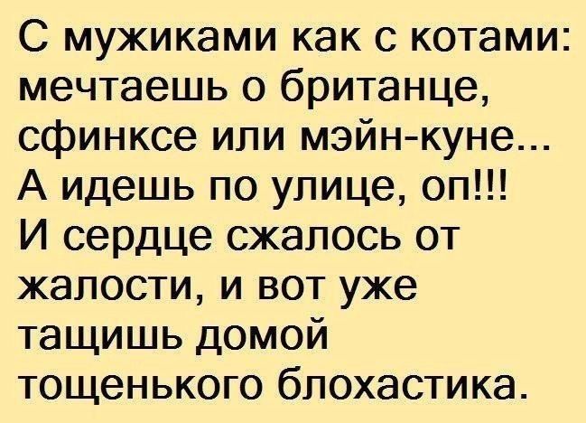  - 8  2017  19:50