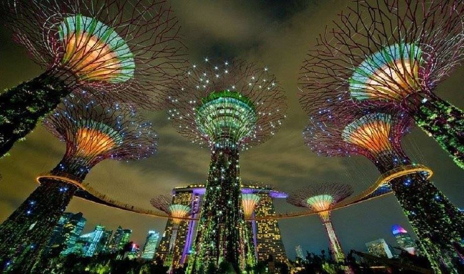 :     (Park Gardens by the Bay)