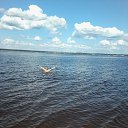 ���� �������, ����, 71 ��� - ��������� 23 ���� 2017 � ������ ���� ����������