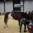 ���� ��������, �����-���������, 51 ��� - ��������� 10 �������� 2017 � ������ ������-������������� ������ �������� ���������� 27.08.2017�