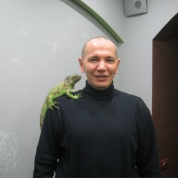 ���� ���������, ����, 53 ���� - ��������� 22 ������ 2017