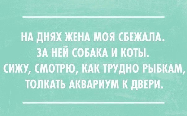  ! - 27  2017  23:12