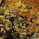  , , 60  -  16  2017        ,,14.10.17.