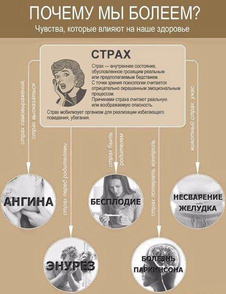 Психосоматика или чувства, которые влияют на наше здоровье: - 3