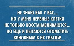      - 1  2017  20:40