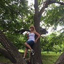  , , 72  -  5  2017    2017