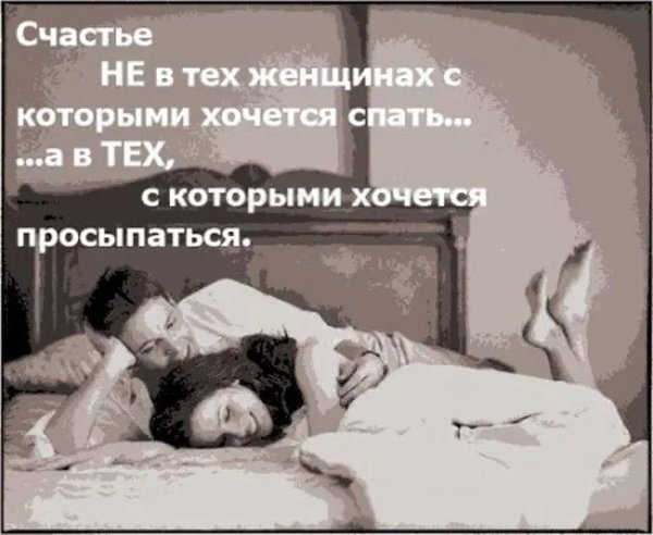 Ревность я твою не понимаю… И в последний раз тебе скажу:…