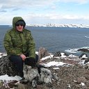 �������� ��������� ������ 2017 �� ������� ���� ����������