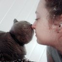 ���� ����, ���������, 24 ���� - ��������� 28 ���� 2017 � ������ ���� ����������