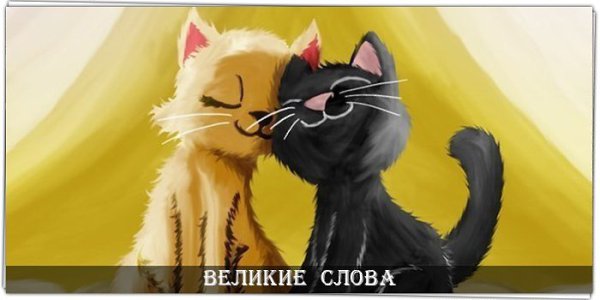 Умейте прощать, ведь это свойство сильных. Слабые никогда не прощают. © Махатма Ганди