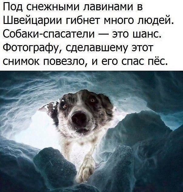   :    - 9  2017  15:03