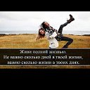 ���� �������, �������, 47 ��� - ��������� 23 ������ 2017