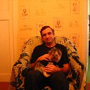 ���� ��������, ����, 62 ���� - ��������� 30 ������� 2017