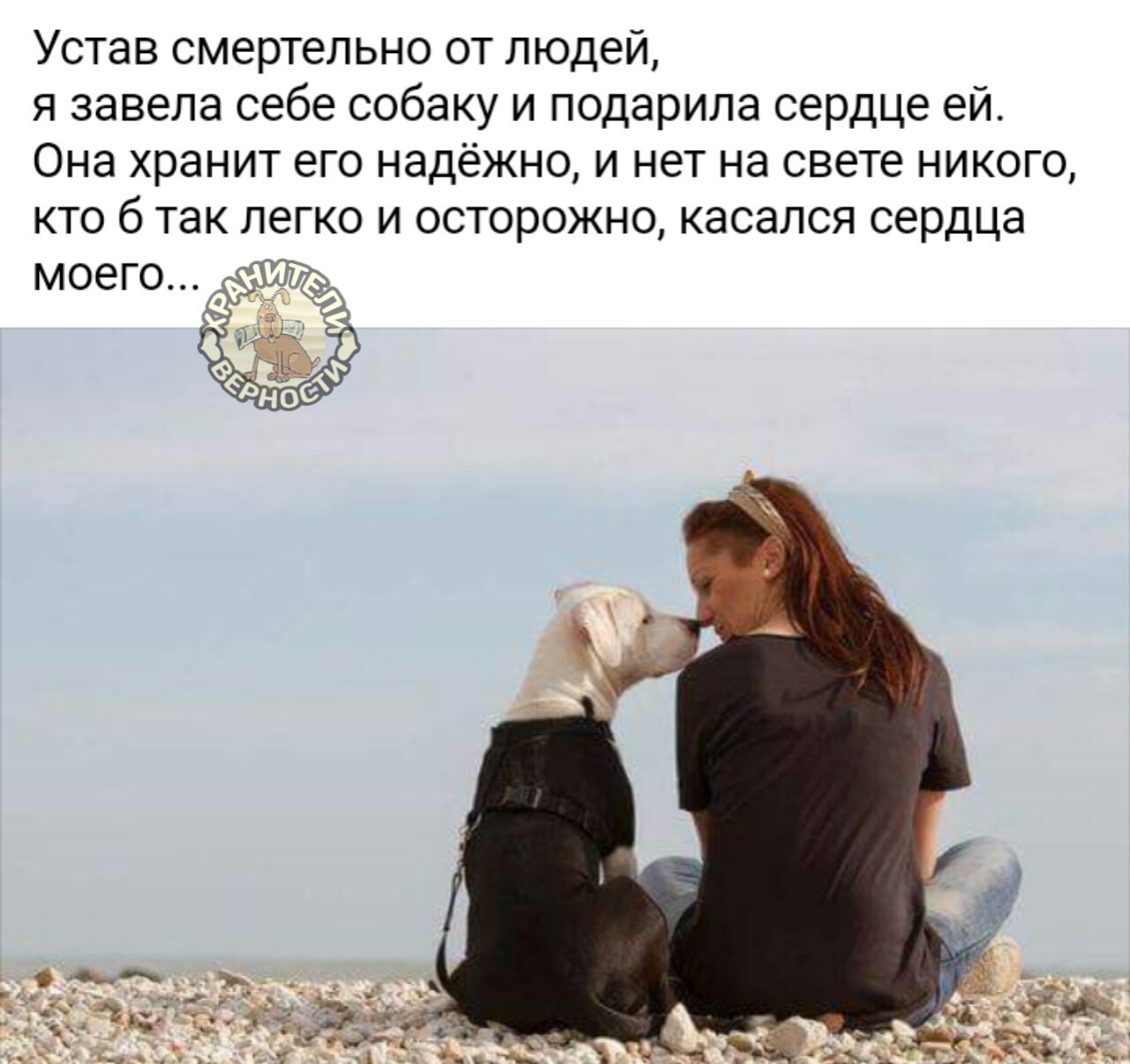 Он подарил ей собаку. French kiss with dog. Он подарил ей собаку. Он подарил ей собаку. Лай человека.